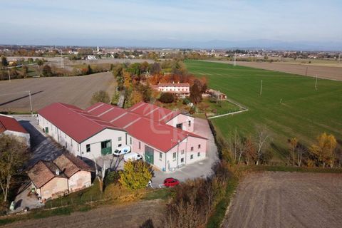 Erhvervsejendom i Ruda, Udine, Ruda - € 895.000 | Ref: AR2120 - foto 4