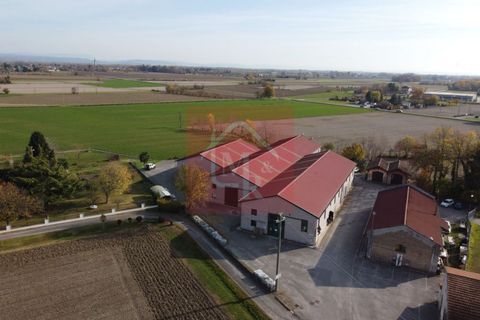 Erhvervsejendom i Ruda, Udine, Ruda - € 895.000 | Ref: AR2120 - foto 6
