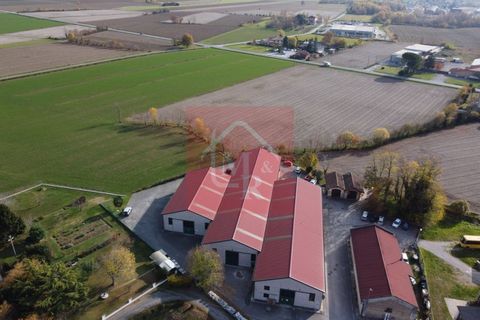 Erhvervsejendom i Ruda, Udine, Ruda - € 895.000 | Ref: AR2120 - foto 7