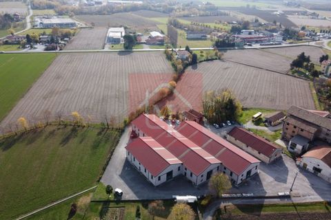 Erhvervsejendom i Ruda, Udine, Ruda - € 895.000 | Ref: AR2120 - foto 8