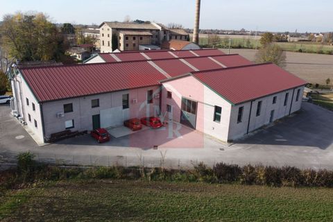 Erhvervsejendom i Ruda, Udine, Ruda - € 895.000 | Ref: AR2120 - foto 10