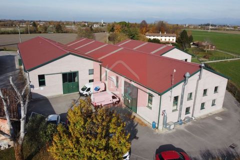 Erhvervsejendom i Ruda, Udine, Ruda - € 895.000 | Ref: AR2120 - foto 11