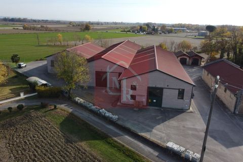 Erhvervsejendom i Ruda, Udine, Ruda - € 895.000 | Ref: AR2120 - foto 12