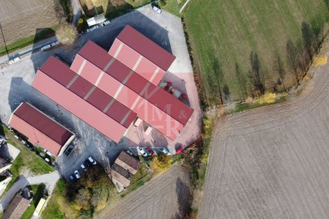 Erhvervsejendom i Ruda, Udine, Ruda - € 895.000 | Ref: AR2120 - foto 15
