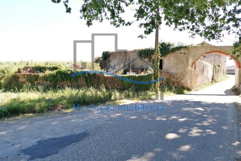 Villa i Alenquer, Lisbon, Alenquer - € 250.000 | Ref: ZI-439 - foto 3
