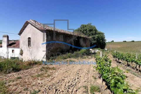 Villa i Alenquer, Lisbon, Alenquer - € 250.000 | Ref: ZI-439 - foto 7
