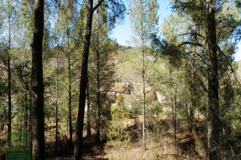Villa a Velez-Rubio, Almeria, Velez-Rubio - € 175.000 | Ref: DV1406 - foto 13