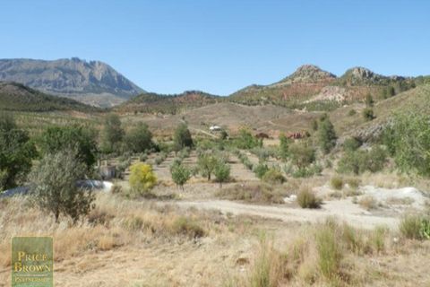 Villa a Velez-Rubio, Almeria, Velez-Rubio - € 175.000 | Ref: DV1406 - foto 14
