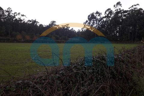 Helårsgrund i Esposende, Braga, Esposende - € 28.000 | Ref: REF AM 792 - foto 2