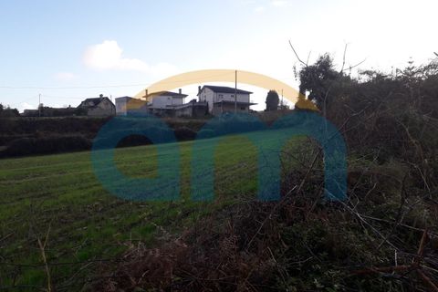 Terra a Barqueiros, Braga, Barqueiros - € 45.000 | Ref: REF AM 794 - foto 2