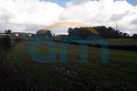 Terra a Barqueiros, Braga, Barqueiros - € 45.000 | Ref: REF AM 794 - foto 3
