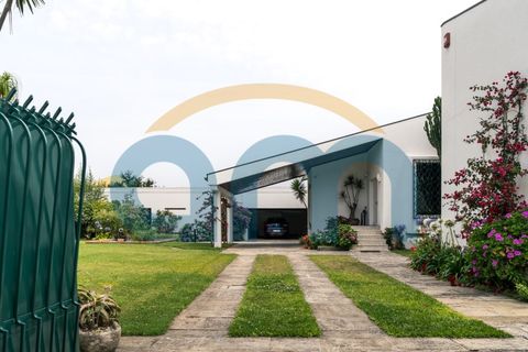 Villa i Apulia, Braga, Apulia - € 1.750.000 | Ref: REF AM 937 - foto 3