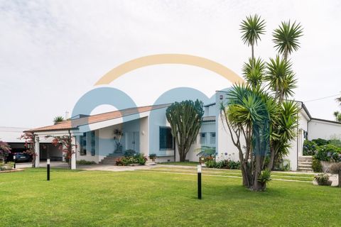 Villa i Apulia, Braga, Apulia - € 1.750.000 | Ref: REF AM 937 - foto 4