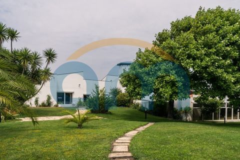 Villa i Apulia, Braga, Apulia - € 1.750.000 | Ref: REF AM 937 - foto 6