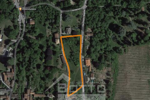 Terra a Ameno, Novara, Ameno - € 285.000 | Ref: 4-AMETER - foto 2