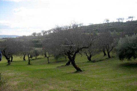 Terra a Giarratana, Ragusa, Giarratana - € 80.000 | Ref: Z 28 - foto 4