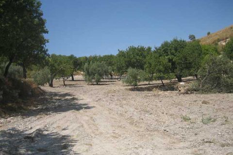 Terra a Giarratana, Ragusa, Giarratana - € 80.000 | Ref: Z 28 - foto 5