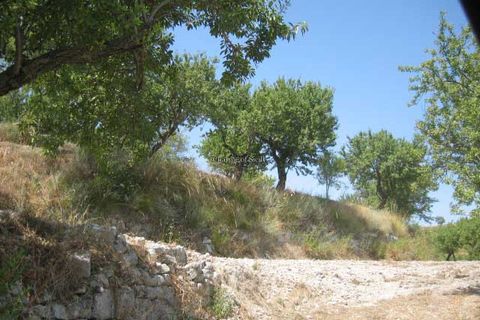 Terra a Giarratana, Ragusa, Giarratana - € 80.000 | Ref: Z 28 - foto 14