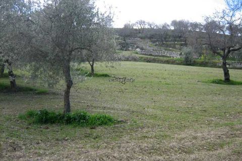 Terra a Giarratana, Ragusa, Giarratana - € 80.000 | Ref: Z 28 - foto 15