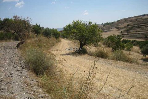 Terra a Giarratana, Ragusa, Giarratana - € 80.000 | Ref: Z 28 - foto 16