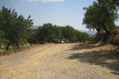 Terra a Giarratana, Ragusa, Giarratana - € 80.000 | Ref: Z 28 - foto 17