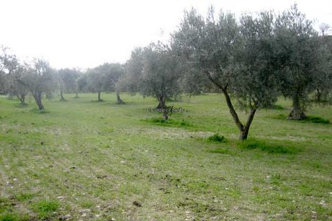 Terra a Giarratana, Ragusa, Giarratana - € 80.000 | Ref: Z 28 - foto 19