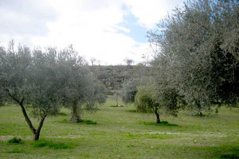 Terra a Giarratana, Ragusa, Giarratana - € 80.000 | Ref: Z 28 - foto 20