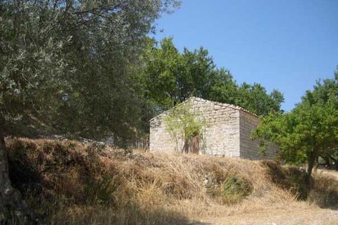 Terra a Giarratana, Ragusa, Giarratana - € 80.000 | Ref: Z 28 - foto 21