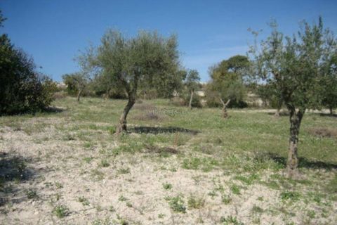 Villa i Ragusa, Ragusa, Ragusa - € 119.000 | Ref: Z 30BIS - foto 26