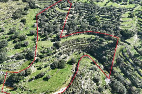 Helårsgrund i Modica, Ragusa, Modica - € 50.000 | Ref: Z 02 - foto 1