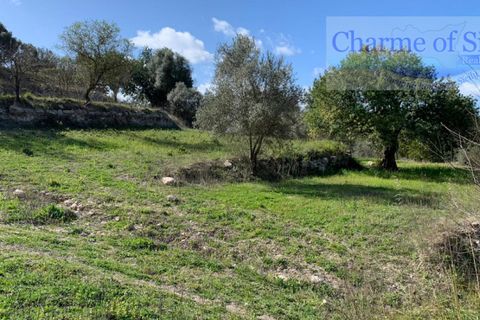 Helårsgrund i Modica, Ragusa, Modica - € 50.000 | Ref: Z 02 - foto 3