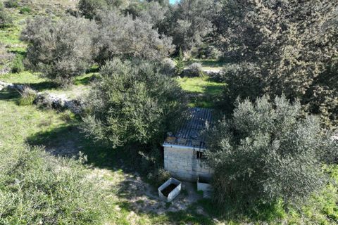 Helårsgrund i Modica, Ragusa, Modica - € 50.000 | Ref: Z 02 - foto 8