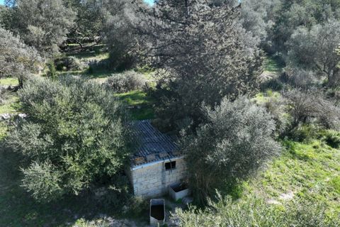 Helårsgrund i Modica, Ragusa, Modica - € 50.000 | Ref: Z 02 - foto 9