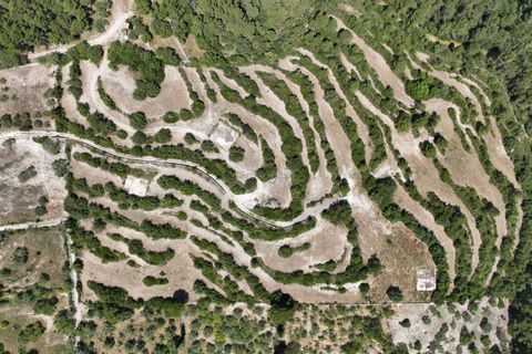 Helårsgrund i Modica, Ragusa, Modica - € 130.000 | Ref: Z 06 - foto 2