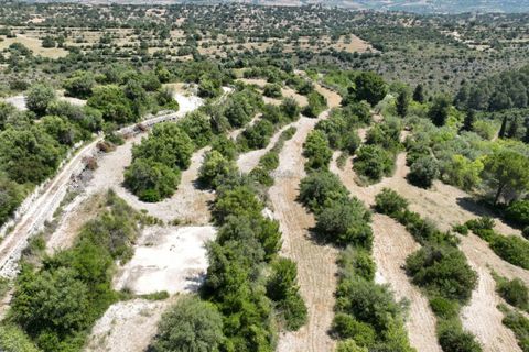 Helårsgrund i Modica, Ragusa, Modica - € 130.000 | Ref: Z 06 - foto 6