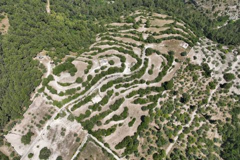 Helårsgrund i Modica, Ragusa, Modica - € 130.000 | Ref: Z 06 - foto 7