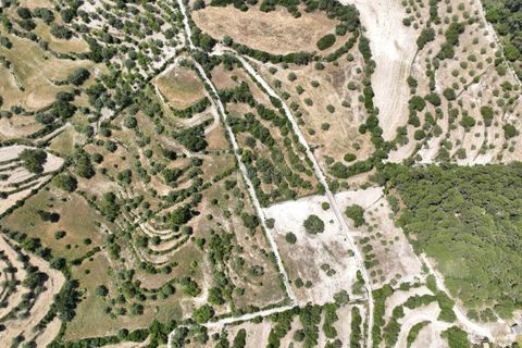 Helårsgrund i Modica, Ragusa, Modica - € 130.000 | Ref: Z 06 - foto 9