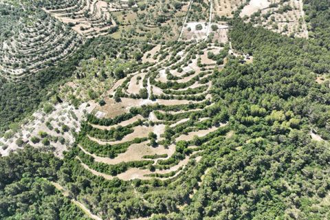 Helårsgrund i Modica, Ragusa, Modica - € 130.000 | Ref: Z 06 - foto 10