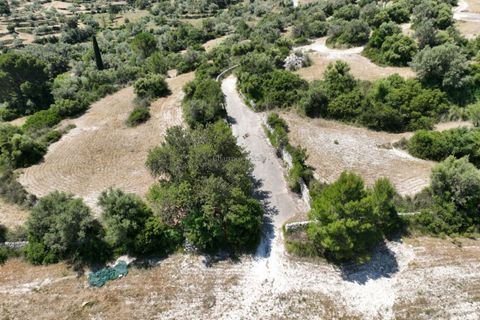 Helårsgrund i Modica, Ragusa, Modica - € 130.000 | Ref: Z 06 - foto 13