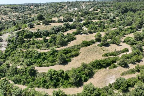 Helårsgrund i Modica, Ragusa, Modica - € 130.000 | Ref: Z 06 - foto 16