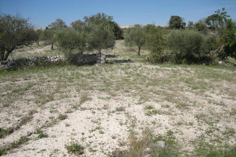 Helårsgrund i Ragusa, Ragusa, Ragusa - € 65.000 | Ref: Z 30 - foto 4