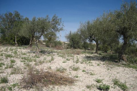 Helårsgrund i Ragusa, Ragusa, Ragusa - € 65.000 | Ref: Z 30 - foto 6