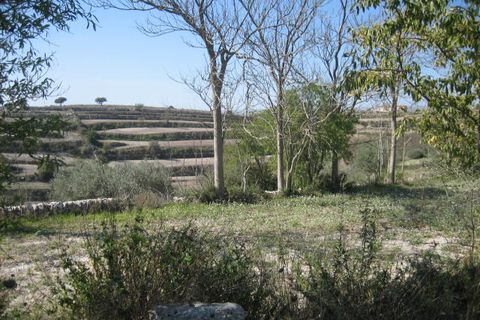 Helårsgrund i Ragusa, Ragusa, Ragusa - € 65.000 | Ref: Z 30 - foto 8