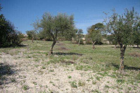 Helårsgrund i Ragusa, Ragusa, Ragusa - € 65.000 | Ref: Z 30 - foto 9