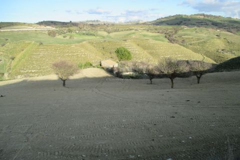 Villa i Ragusa, Ragusa, Ragusa - € 80.000 | Ref: ZM 37B - foto 24