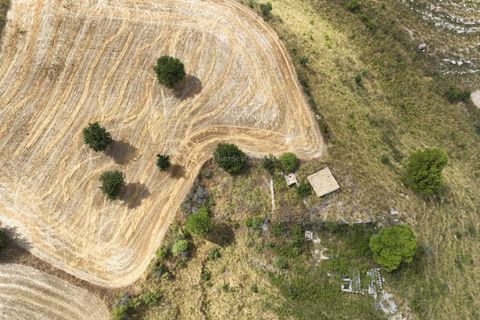 Villa i Ragusa, Ragusa, Ragusa - € 80.000 | Ref: ZM 37B - foto 8