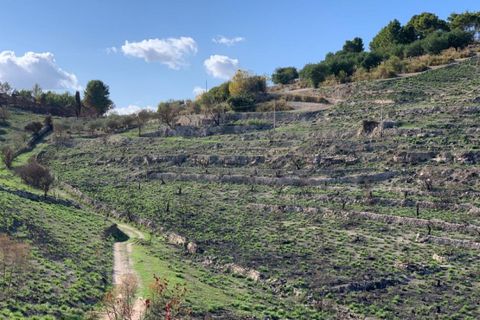 Villa a Ragusa, Ragusa, Ragusa - € 68.000 | Ref: Z 42 - foto 49