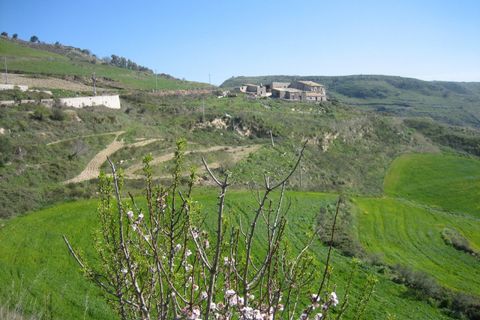 Terra a Giarratana, Ragusa, Giarratana - € 50.000 | Ref: Z 43 - foto 31