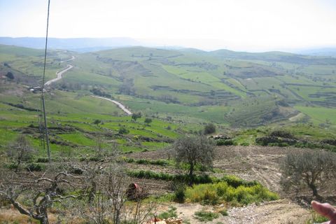Terra a Giarratana, Ragusa, Giarratana - € 50.000 | Ref: Z 43 - foto 46