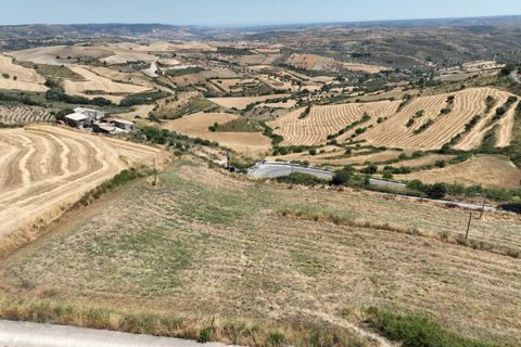 Terra a Giarratana, Ragusa, Giarratana - € 50.000 | Ref: Z 43 - foto 11